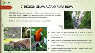 8 REGIONES.pptx