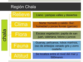 Región Chala
 