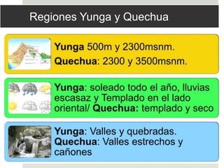 Regiones Yunga y Quechua
 