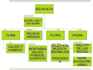 se ubica
es
su tiene su su
como ejemplo
ejemplo
 