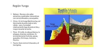 Región Yunga
• Relieve : Rocoso y de valles
estrechos; quebradas interandinas
con cerros elevados y escarpados.
• Clima : En laYunga Marítima hay sol
dominante durante todo el año
cálido - seco, humedad
relativamente baja durante el día y
mayor durante la noche.
• Flora : El molle, la cabuya blanca, la
pitajaya, diversas cactáceas. Es
eminentemente frutícola: pacae,
guayaba, chirimoya, manzano,
lúcumu.
• Fauna :Aves como el chaucato y el
taurigaray.
 