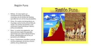 Región Puna
• Relieve : En esta región son
características las zonas llanas,
conocidas con el nombre de mesetas,
que alternan con cerros muy escarpados.
• Clima : En cuanto a la temperatura, es
muy baja y varía mucho entre el día y la
noche. Los vientos son fuertes y casi
continuos, lo que contribuye a secar y
enfriar el ambiente.
• Flora : n cuanto a la vegetación, son
típicos de esta región los pajonales
(gramíneas que cubren densamente la
puna), representados por el ichu, el
pumacho y el chillalluar.
• Fauna : Predominan mamífero como la
vicuña, el guanaco, el zorrino, el zorro
andino, el cuy silvestre,etc
 