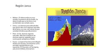 Región Janca
• Relieve : El relieve andino es muy
variado, la presencia de los Andes, ha
determinado que su territorio muy
accidentado casi cortado a pico.
• Clima : Los diversos pisos altitudinales
que ubican alas cinco regiones naturales
de la Sierra, a su vez, nos indican la gran
variedad climática que ella encierra
• Flora : En las diversas regiones
naturales dela Sierra destacan las
diversas especies vegetales que a
continuación señalamos el Molle
• Fauna : La especie faunística de la Región
Andina son escasas, encontramos como
animales representativos a los
siguientes: El Chaucato y elTaurigaray,
aves de laYUNGA; el Zorzal Gris
 