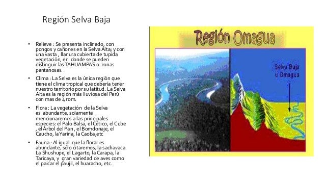 8 regiones naturales del per 