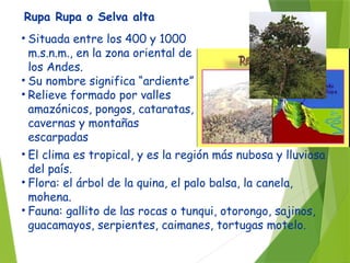 8 REGIONES NATURALES DEL PERUUUUUU.pptx