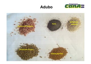 Adubo
Cloreto de Potássio
Yorin
Sulfato de
Amônio
Osmocote Grosso
Osmocote Fino
 