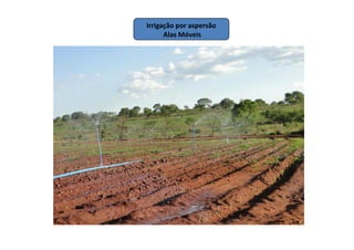 Irrigação por aspersão
Alas Móveis
 