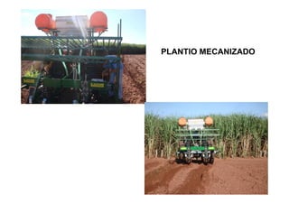 PLANTIO MECANIZADO
 