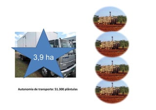3,9 ha
Autonomia de transporte: 51.300 plântulas
3,9 ha
 
