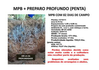 MPB + PREPARO PROFUNDO (PENTA)MPB + PREPARO PROFUNDO (PENTA)
MPB COM 82 DIAS DE CAMPOMPB COM 82 DIAS DE CAMPO
Plantio: 13/12/11
área 0,72 ha
Espaçamento: 1,50 x 0,90 m;
Preparo de solo profundo canteirizado
Ambiente D , Lva 1, com vinhaça e torta.
Variedade: SP 81-3250
Colheita 10/07/13
IDADE : 17 meses
Produção bruta: 171 t/ha.
180 cm de180 cm de
PROFUNDIDADEPROFUNDIDADE
Produção bruta: 171 t/ha.
Perdas avaliadas: 17 t/ha
Produtividade líquida: 154,0 t/ha.
(posto usina)
ATR: 127,71
ATR/ha: 19,67 t/ha (líquido)
Perdas elevadas devido cana
estar muito caída e a colhedora
não recolher parte da produção.
Soqueiras avaliadas sem
problemas de arranquios e abalos.
 