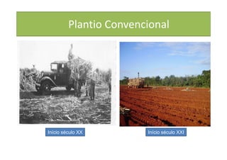 Plantio Convencional
Início século XX Início século XXI
 