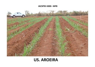 IACSP95-5000 - MPB
US. AROEIRAUS. AROEIRA
 