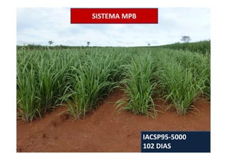 SISTEMA MPB
IACSP95-5000
102 DIAS
 