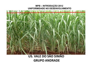 MPB – INTRODUÇÃO 2012
UNIFORMIDADE NO DESENVOLVIMENTO
US. VALE DO SÃO SIMÃOUS. VALE DO SÃO SIMÃO
GRUPO ANDRADEGRUPO ANDRADE
 
