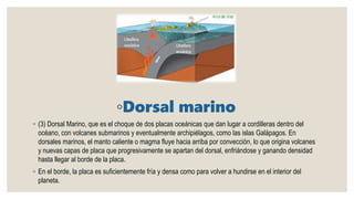 ◦Dorsal marino
◦ (3) Dorsal Marino, que es el choque de dos placas oceánicas que dan lugar a cordilleras dentro del
océano, con volcanes submarinos y eventualmente archipiélagos, como las islas Galápagos. En
dorsales marinos, el manto caliente o magma fluye hacia arriba por convección, lo que origina volcanes
y nuevas capas de placa que progresivamente se apartan del dorsal, enfriándose y ganando densidad
hasta llegar al borde de la placa.
◦ En el borde, la placa es suficientemente fría y densa como para volver a hundirse en el interior del
planeta.
 