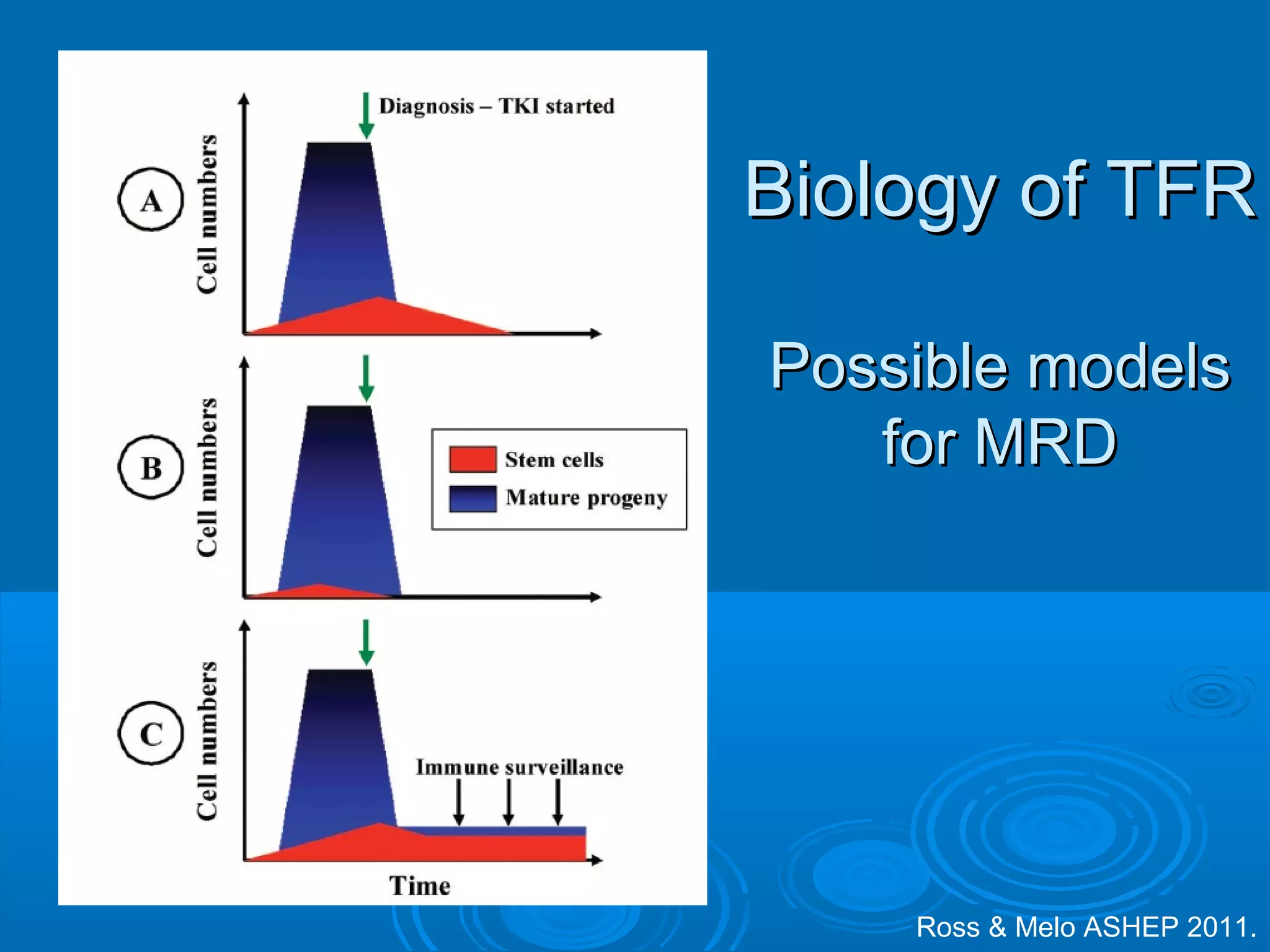 Ross & Melo ASHEP 2011.
Biology of TFRBiology of TFR
Possible modelsPossible models
for MRDfor MRD
 