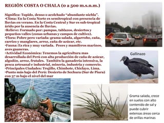 REGIÓN COSTA O CHALA (0 a 500 m.s.n.m.)
Significa: Tupido, denso o acolchado “abundante niebla”.
•Clima: En la Costa Norte es semitropical con presencia de
lluvias en verano. En la Costa Central y Sur es sub-tropical
árido por la ausencia de lluvias.
•Relieve: Formado por: pampas, tablazos, desiertos y
pequeños valles (zonas urbanas y campos de cultivo).
•Flora: Pobre pero variada: grama salada, algarrobo, caña,
carrizo y manglares, arroz, caña de azúcar, etc.
•Fauna: Es rica y muy variada. Peces y mamíferos marinos,
aves guaneras.
•Actividad Económica: Tenemos la agricultura mas
desarrollada del Perú con alta producción de caña de azúcar,
algodón, arroz, frutales. También la ganadería intensiva, la
pesca artesanal e industrial, minería, industria y comercio.
•Principales Ciudades: Trujillo, Chimbote, Chiclayo, Lima.
•Punto más bajo del Perú: Desierto de Sechura (Sur de Piura)
con 37 m bajo el nivel del mar
Gallinazo
Grama salada, crece
en suelos con alto
contenido de sal y
puede cubrir
extensas áreas cerca
de orillas marinas
 