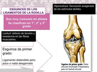 8-anatomia-de-la-rodilla-pptx-versi-n-1-pptx