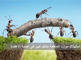 asralotaibi
‫المؤسسي‬ ‫التميز‬ ‫ملتقى‬
‫عملية‬ ‫في‬ ‫كبير‬ ‫بشكل‬ ‫المنظمة‬ ‫موارد‬ ‫استهالك‬‫اإلعتم‬‫اد‬
 