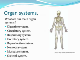 ORGAN SYSTEMS.
What are our main organ
systems?
 Digestive system.
 Circulatory system.
 Respiratory system.
 Excretory system.
Source: http://www.cakechooser.com/
 