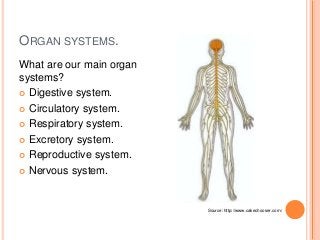 ORGAN SYSTEMS.
What are our main organ
systems?
 Digestive system.
 Circulatory system.
 Respiratory system.
 Excretory system.
 Reproductive system.
 Nervous system.
Source: http://www.cakechooser.com/
 