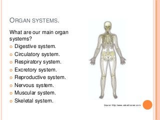 ORGAN SYSTEMS.
What are our main organ
systems?
 Digestive system.
 Circulatory system.
 Respiratory system.
 Excretory system.
 Reproductive system.
 Nervous system.
 Muscular system.
 Skeletal system.
Source: http://www.cakechooser.com/
 