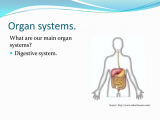 SINGLE-CELLED ORGANISMS.
 Single-celled organisms
can carry out all their life
processes within the one
cell.
 Organisms are able to
exchange substances
directly with their external
environment.
 Nutrients & oxygen can
be collected from the
surrounding water.
 Wastes can be got rid of
directly into the water.
Source: http://www.microscopy-uk.org.uk/mag/art97b/prointro.html
 