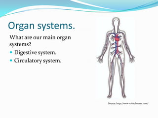 MULTICELLULAR ORGANISMS.
 The cells of multicellular
organisms are not all in
direct contact with their
external environment.
 Not all body cells are
able to exchange
substances with the
external environment.
 They are therefore unable
to obtain their own
nutrients, oxygen & other
substances needed for life
processes, nor get rid of
wastes.
Source: http://www.wrecksite.eu/marine-
species.aspx
 