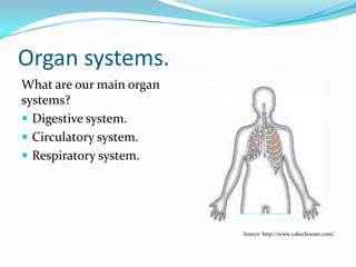 MULTICELLULAR ORGANISMS.
 In order to obtain
nutrients, oxygen & other
substances and be able
to get rid of wastes the
cells of multicellular
organisms need a
helping hand.
 They need organ
systems which together
work to provide nutrients,
oxygen, get rid of waste
and lots more.
Source: http://cartoons-
picture.blogspot.com.au/2012/12/cartoon-coyote-pictures.html
 