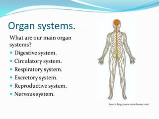 ORGAN SYSTEMS.
What are our main organ
systems?
 Digestive system.
 Circulatory system.
Source: http://www.cakechooser.com/
 