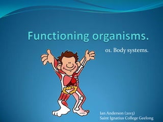 FUNCTIONING ORGANISMS.
01. Body systems.
Ian Anderson
Saint Ignatius College Geelong
 