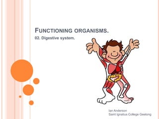 FUNCTIONING ORGANISMS.
02. Digestive system.
Ian Anderson
Saint Ignatius College Geelong
 