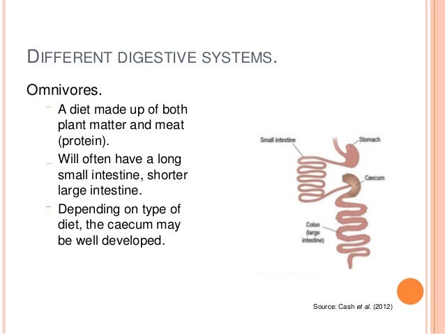 Functioning organisms - 02 Digestive system