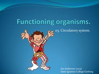 FUNCTIONING ORGANISMS.
03. Circulatory system.
Ian Anderson
Saint Ignatius College Geelong
 