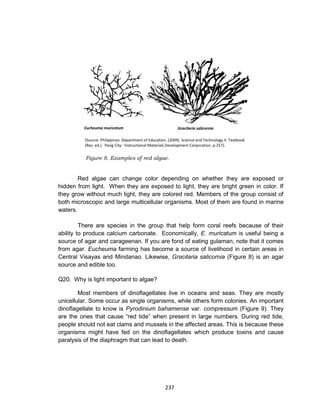 237
(Source: Philippines. Department of Education. (2009). Science and Technology II. Textbook
(Rev. ed.). Pasig City: Instructional Materials Development Corporation. p.257).
Figure 8. Examples of red algae.
Red algae can change color depending on whether they are exposed or
hidden from light. When they are exposed to light, they are bright green in color. If
they grow without much light, they are colored red. Members of the group consist of
both microscopic and large multicellular organisms. Most of them are found in marine
waters.
There are species in the group that help form coral reefs because of their
ability to produce calcium carbonate. Economically, E. muricatum is useful being a
source of agar and carageenan. If you are fond of eating gulaman, note that it comes
from agar. Eucheuma farming has become a source of livelihood in certain areas in
Central Visayas and Mindanao. Likewise, Gracilaria salicornia (Figure 8) is an agar
source and edible too.
Q20. Why is light important to algae?
Most members of dinoflagellates live in oceans and seas. They are mostly
unicellular. Some occur as single organisms, while others form colonies. An important
dinoflagellate to know is Pyrodinium bahamense var. compressum (Figure 9). They
are the ones that cause “red tide” when present in large numbers. During red tide,
people should not eat clams and mussels in the affected areas. This is because these
organisms might have fed on the dinoflagellates which produce toxins and cause
paralysis of the diaphragm that can lead to death.
Eucheuma muricatum Gracilaria salicornia
 
