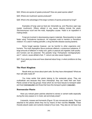 241
Q24. Where are spores of yeasts produced? How are yeast spores called?
Q25. Where are mushroom spores produced?
Q26. What is the advantage of the large numbers of spores produced by fungi?
Examples of fungi used as food are Volvariella sp. and Pleurotus sajor-caju
(oyster mushroom). Others utilized in soy sauce making include the yeast,
Saccharomyces rouxii and the mold, Aspergillus oryzae. Yeast is an ingredient in
making bread.
Fungi are involved in decomposing organic materials. Decomposition is made
faster using Trichoderma harzianum. An important mold to mention is Penicillium
notatum. It is used in making penicillin, a drug that kills disease-causing bacteria.
Some fungal species however, can be harmful to other organisms and
humans. The mold Aspergillus flavus produces aflatoxin, a poisonous substance. If
large amounts of aflatoxin in moldy corn, garlic or peanuts are ingested, both poultry
and humans can be poisoned. The parasitic fungi Trichophyton mentagrophytes
and T. rubrum, cause athlete’s foot. T. rubrum can also cause ringworm.
Q27. From what you know and have observed about fungi, in what conditions do they
grow?
The Plant Kingdom
Recall what you know about plant cells. Do they have chloroplasts? What are
their cell walls made of?
You knew earlier that plants belong to the eukaryote group. They are
multicellular and because they have chlorophyll, they can make their own food.
Plants consist of two big groups: those which do not have tissues to transport water
and food (nonvascular) and those that have this transport system (vascular).
Nonvascular Plants
Have you noticed green patches attached to stones or cement walls especially
during the rainy season or in moist, wet and shady areas?
Liverworts, mosses and hornworts (Figure 13) are nonvascular plants. They are
attached to the places where they live by means of their root-like rhizoids. These
rhizoids absorb water and nutrients instead of true roots. They also do not have true
 