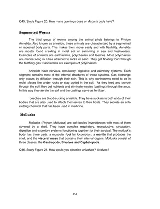 252
Q45. Study Figure 20. How many openings does an Ascaris body have?
Segmented Worms
The third group of worms among the animal phyla belongs to Phylum
Annelida. Also known as annelids, these animals are characterized by a segmented
or repeated body parts. This makes them move easily and with flexibility. Annelids
are mostly found crawling in moist soil or swimming in sea and freshwaters.
Examples of annelids are earthworms, polychaetes and leeches. Most polychaetes
are marine living in tubes attached to rocks or sand. They get floating food through
the feathery gills. Sandworms are examples of polychaetes.
Annelids have nervous, circulatory, digestive and excretory systems. Each
segment contains most of the internal structures of these systems. Gas exchange
only occurs by diffusion through their skin. This is why earthworms need to be in
moist places like under rocks or stay buried in the soil. As they feed and burrow
through the soil, they get nutrients and eliminate wastes (castings) through the anus.
In this way they aerate the soil and the castings serve as fertilizer.
Leeches are blood-sucking annelids. They have suckers in both ends of their
bodies that are also used to attach themselves to their hosts. They secrete an anti-
clotting chemical that has been used in medicine.
Mollusks
Mollusks (Phylum Mollusca) are soft-bodied invertebrates with most of them
covered by a shell. They have complex respiratory, reproductive, circulatory,
digestive and excretory systems functioning together for their survival. The mollusk’s
body has three parts: a muscular foot for locomotion, a mantle that produces the
shell, and the visceral mass that contains their internal organs. Mollusks consist of
three classes: the Gastropods, Bivalves and Cephalopods.
Q46. Study Figure 21. How would you describe univalves? bivalves?
 
