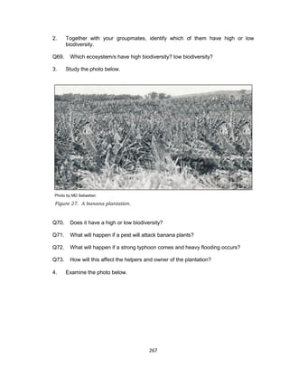 267
2. Together with your groupmates, identify which of them have high or low
biodiversity.
Q69. Which ecosystem/s have high biodiversity? low biodiversity?
3. Study the photo below.
Photo by MD Sebastian
Figure 27. A banana plantation.
Q70. Does it have a high or low biodiversity?
Q71. What will happen if a pest will attack banana plants?
Q72. What will happen if a strong typhoon comes and heavy flooding occurs?
Q73. How will this affect the helpers and owner of the plantation?
4. Examine the photo below.
 