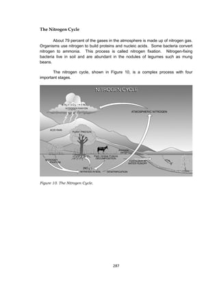 287
The Nitrogen Cycle
About 79 percent of the gases in the atmosphere is made up of nitrogen gas.
Organisms use nitrogen to build proteins and nucleic acids. Some bacteria convert
nitrogen to ammonia. This process is called nitrogen fixation. Nitrogen-fixing
bacteria live in soil and are abundant in the nodules of legumes such as mung
beans.
The nitrogen cycle, shown in Figure 10, is a complex process with four
important stages.
Figure 10. The Nitrogen Cycle.
 