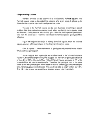 339
Diagramming a Cross
Mendel’s crosses can be recorded in a chart called a Punnett square. The
Punnett square helps us to predict the outcome of a given cross. It allows us to
determine the possible combinations of genes in a cross.
The use of the Punnett square can be best illustrated by solving an actual
problem, like determining the expected result when two hybrid round-seeded peas
are crossed. From previous discussions, you know that the expected phenotypic
ratio from this cross is 3:1. This time, we will determine the expected genotype of the
offspring.
Figure 11 diagrams the steps in making a Punnett square. From the finished
square, you can tell the genotypes of the offspring in the given cross.
Look at Figure 11. How many kinds of genotypes are possible in this cross?
What are these genotypes?
Since a zygote with a genotype Rr is shown twice in the Punnett square in
Figure 11, the chance or probability that a zygote will have an Rr genotype is two out
of four (2/4 or 50%). One out of four (1/4 or 25%) will have a genotype of RR while
one out of four will have a genotype of rr. Therefore, the genotypic ratio in the given
cross is one RR (homozygous round seed) to two Rr (heterozygous round seed) to
one rr (homozygous wrinkled seed). The genotypic ratio is simply written as 1:2:1.
This 1:2:1 ratio is what you should have obtained as your ratio in Activity 3.
 