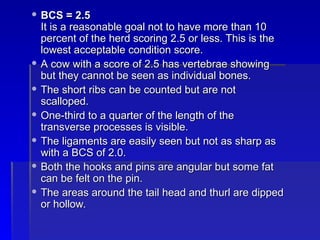 Comprehensive Guide to Body Condition Scoring (BCS) in Cows for Optimal ...