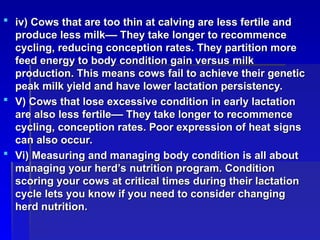 Comprehensive Guide to Body Condition Scoring (BCS) in Cows for Optimal ...