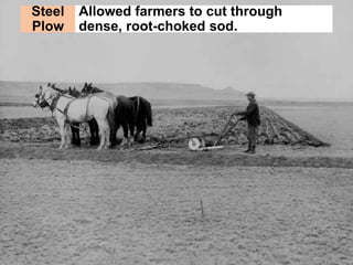 Allowed farmers to cut through 
dense, root-choked sod. 
Steel 
Plow 
 
