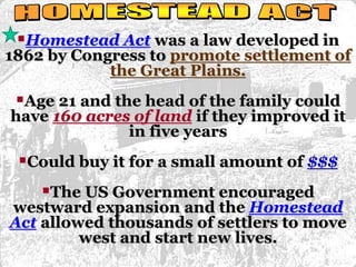 Homestead Act was a law developed in 
1862 by Congress to promote settlement of 
the Great Plains. 
Age 21 and the head of the family could 
have 160 acres of land if they improved it 
in five years 
Could buy it for a small amount of $$$ 
The US Government encouraged 
westward expansion and the Homestead 
Act allowed thousands of settlers to move 
west and start new lives. 
 