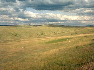 Little Bighorn 
 