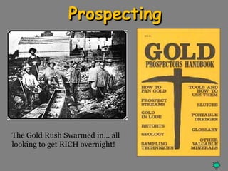 Prospecting 
The Gold Rush Swarmed in… all 
looking to get RICH overnight! 
 