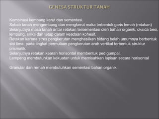 Kombinasi kembang kerut dan sementasi.
Sebab tanah mengembang dan mengkerut maka terbentuk garis lemah (retakan)
Selanjutnya masa tanah antar retakan tersementasi oleh bahan organik, oksida besi,
lempung, silika dan tetap dalam keadaan kohesif.
Retakan karena stres pengkerutan menghasilkan bidang belah umumnya berbentuk
sisi lima, pada tingkat permulaan pengkerutan arah vertikal terbentuk struktur
prismatik.
Selanjutnya retakan kearah horisontal membentuk ped gumpal.
Lempeng membutuhkan kekuatan untuk memisahkan lapisan secara horisontal
Granular dan remah membutuhkan sementasi bahan organik
 