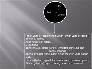 Tanah yang berbeda menunjukkan jumlah yang berbeda :
Batuan & kerikil,
Pasir kasar dan halus,
Debu halus,
Bongkah atau clod ( partikel tersemen lempung dan
bahan organik),
Bahan tanaman yang masih hidup maupun yang sudah
mati,
Humus (bahan organik terdekomposisi, berwarna gelap),
Binatang hidup ) rayap, cacing tanah dan lain-lain).
Mineral
BO
Pori
 