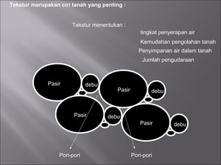 Pasir debu
debu
debu
debu
Pasir
Pasir
Pasir
Pori-pori Pori-pori
Tekstur merupakan ciri tanah yang penting :
Tekstur menentukan :
tingkat penyerapan air
Penyimpanan air dalam tanah
Kemudahan pengolahan tanah
Jumlah pengudaraan
 