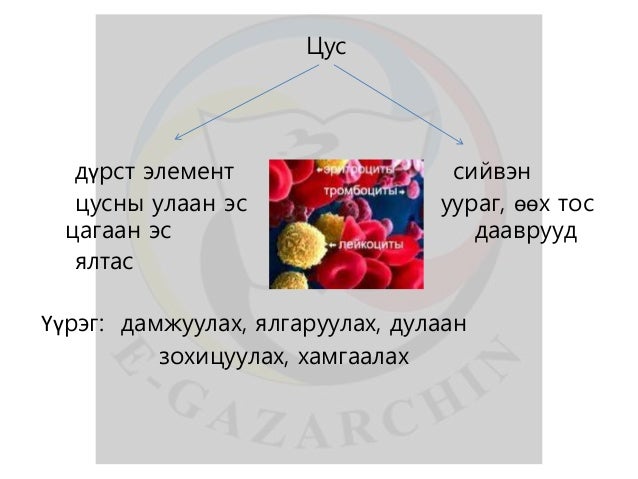 лекц 9 цус алдалт, үзүүлэх анхны тусламж